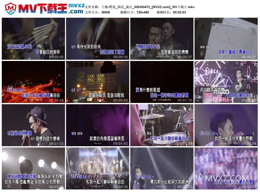 于湉-野兽_国语_流行_MB300473